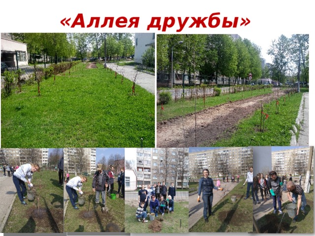 «Аллея дружбы» 