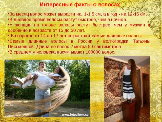 Интересные факты о волосах За месяц волос может вырасти на  1-1.5 см, а в год - на 12-15 см. В дневное время волосы растут быстрее, чем в ночное. У женщин на голове волосы растут быстрее, чем у мужчин и особенно в возрасте от 15 до 30 лет.  В возрасте от 14 до 17 лет вырастают самые длинные волосы. Самые длинные волосы в России у волгоградки Татьяны Письменной. Длина её волос 2 метра 50 сантиметров В среднем у человека насчитывают 100000 волос. 