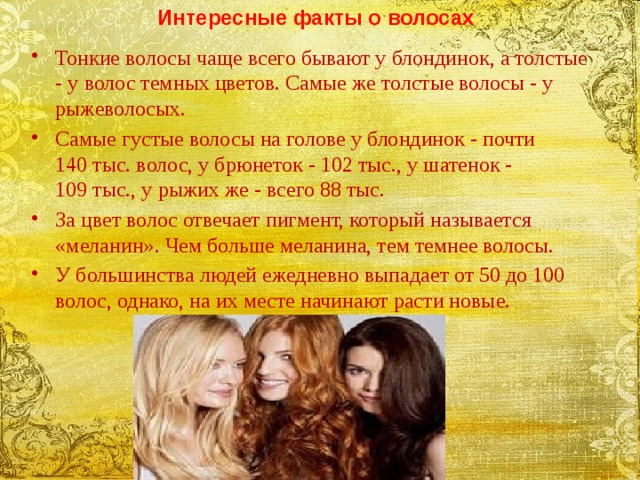 Интересные факты о волосах Тонкие волосы чаще всего бывают у блондинок, а толстые - у волос темных цветов. Самые же толстые волосы - у рыжеволосых. Самые густые волосы на голове у блондинок - почти 140 тыс. волос, у брюнеток - 102 тыс., у шатенок - 109 тыс., у рыжих же - всего 88 тыс. За цвет волос отвечает пигмент, который называется «меланин». Чем больше меланина, тем темнее волосы. У большинства людей ежедневно выпадает от 50 до 100 волос, однако, на их месте начинают расти новые. 
