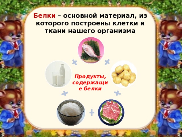  Белки – основной материал, из которого построены клетки и ткани нашего организма Продукты, содержащие белки 