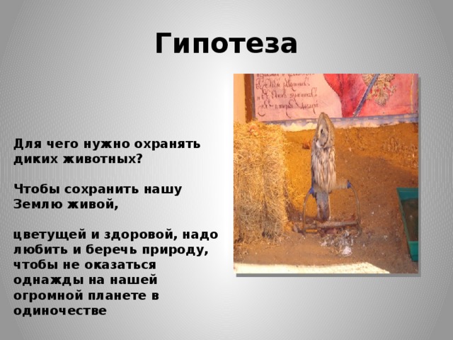 Гипотеза Для чего нужно охранять диких животных?  Чтобы сохранить нашу Землю живой,  цветущей и здоровой, надо любить и беречь природу, чтобы не оказаться однажды на нашей огромной планете в одиночестве 