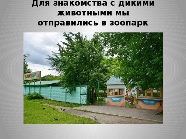 Для знакомства с дикими животными мы  отправились в зоопарк   