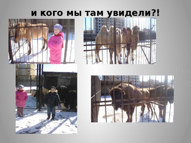 и кого мы там увидели?!   