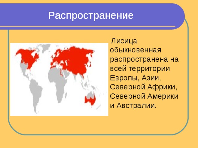  Распространение    Лисица обыкновенная распространена на всей территории Европы, Азии, Северной Африки, Северной Америки и Австралии. 