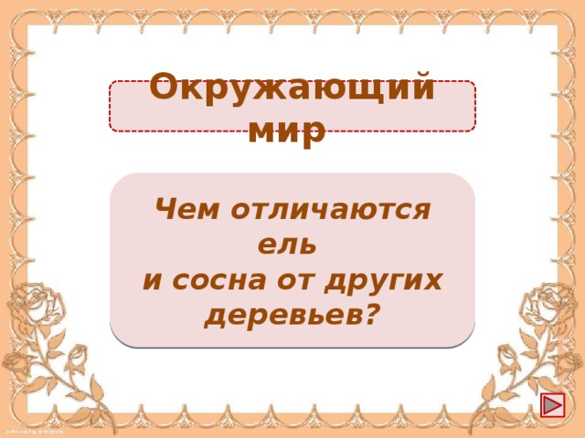 Окружающий мир Стоят зелёные, листья не опадают -1б. Чем отличаются ель и сосна от других деревьев?