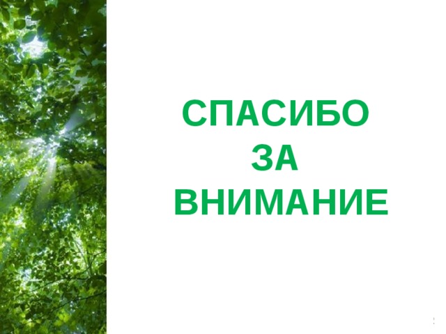 СПАСИБО ЗА ВНИМАНИЕ 