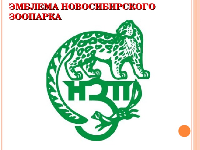 ЭМБЛЕМА НОВОСИБИРСКОГО ЗООПАРКА 