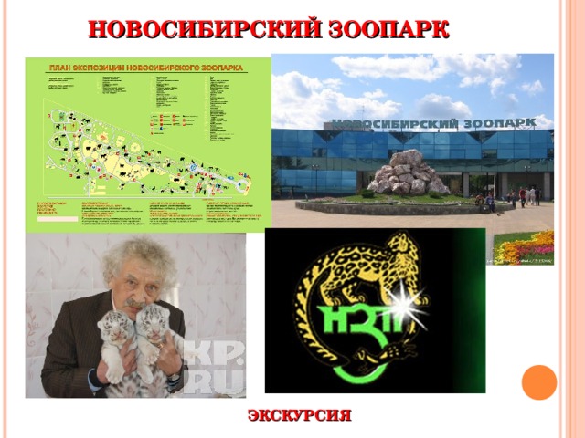 НОВОСИБИРСКИЙ ЗООПАРК ЭКСКУРСИЯ 