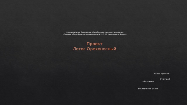 Муниципальное бюджетное общеобразовательное учреждение  «Средняя общеобразовательная школа №11 П. М. Камозина» г. Брянск     Проект  Лотос Орехоносный  Автор проекта:  Ученица 8 «А» класса  Боглаенкова Диана 