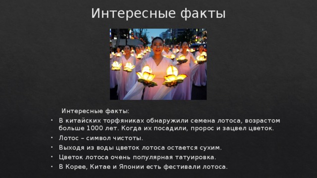 Интересные факты  Интересные факты: В китайских торфяниках обнаружили семена лотоса, возрастом больше 1000 лет. Когда их посадили, пророс и зацвел цветок. Лотос – символ чистоты. Выходя из воды цветок лотоса остается сухим. Цветок лотоса очень популярная татуировка. В Корее, Китае и Японии есть фестивали лотоса. 