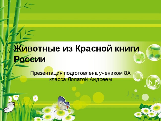 Животные из Красной книги России Презентация подготовлена учеником 8А класса Лопатой Андреем 