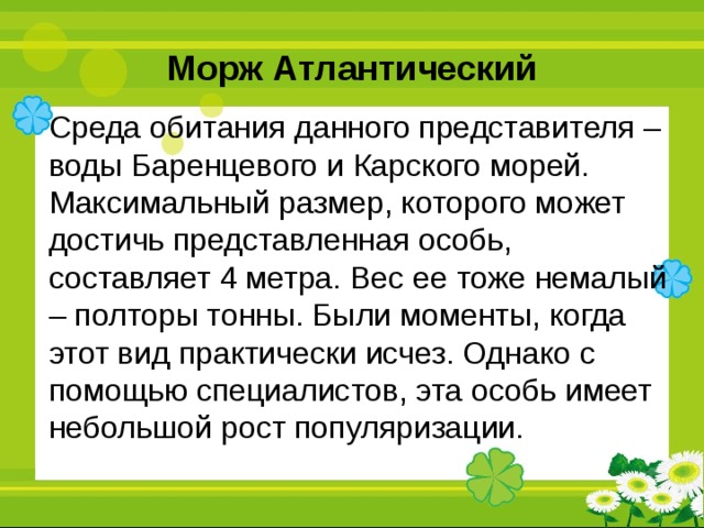 Морж Атлантический Среда обитания данного представителя – воды Баренцевого и Карского морей. Максимальный размер, которого может достичь представленная особь, составляет 4 метра. Вес ее тоже немалый – полторы тонны. Были моменты, когда этот вид практически исчез. Однако с помощью специалистов, эта особь имеет небольшой рост популяризации. 
