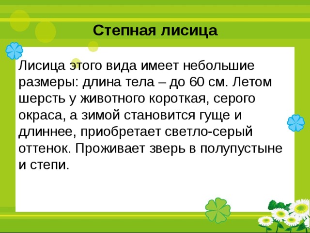 Степная лисица Лисица этого вида имеет небольшие размеры: длина тела – до 60 см. Летом шерсть у животного короткая, серого окраса, а зимой становится гуще и длиннее, приобретает светло-серый оттенок. Проживает зверь в полупустыне и степи. 