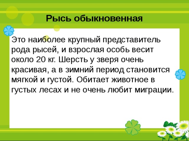 Рысь обыкновенная Это наиболее крупный представитель рода рысей, и взрослая особь весит около 20 кг. Шерсть у зверя очень красивая, а в зимний период становится мягкой и густой. Обитает животное в густых лесах и не очень любит миграции. 
