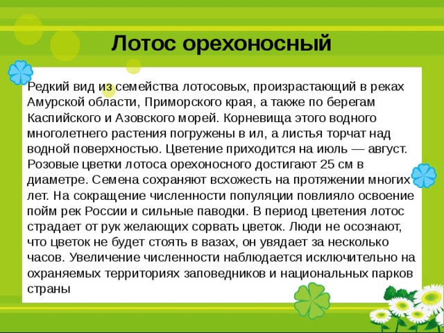 Лотос орехоносный Редкий вид из семейства лотосовых, произрастающий в реках Амурской области, Приморского края, а также по берегам Каспийского и Азовского морей. Корневища этого водного многолетнего растения погружены в ил, а листья торчат над водной поверхностью. Цветение приходится на июль — август. Розовые цветки лотоса орехоносного достигают 25 см в диаметре. Семена сохраняют всхожесть на протяжении многих лет. На сокращение численности популяции повлияло освоение пойм рек России и сильные паводки. В период цветения лотос страдает от рук желающих сорвать цветок. Люди не осознают, что цветок не будет стоять в вазах, он увядает за несколько часов. Увеличение численности наблюдается исключительно на охраняемых территориях заповедников и национальных парков страны 