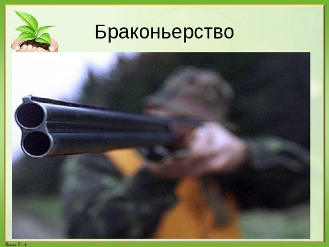 Браконьерство 