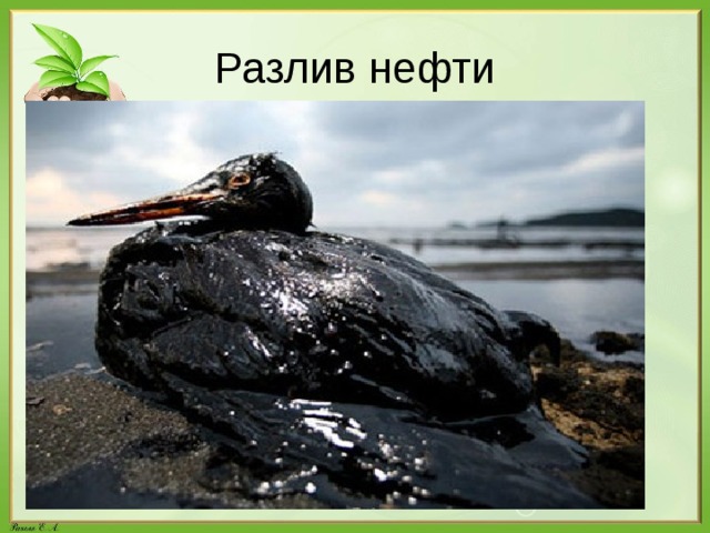 Разлив нефти 
