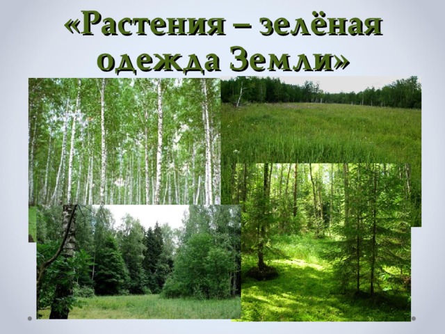 «Растения – зелёная одежда Земли» 