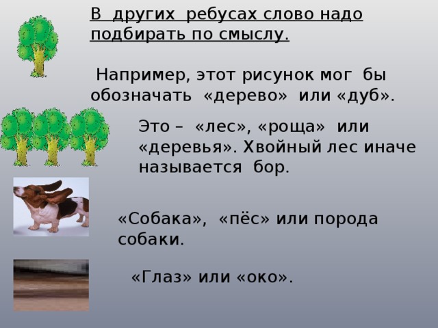В других ребусах слово надо подбирать по смыслу.  Например, этот рисунок мог бы обозначать «дерево» или «дуб». Это – «лес», «роща» или «деревья». Хвойный лес иначе называется бор. «Собака», «пёс» или порода собаки. «Глаз» или «око». 