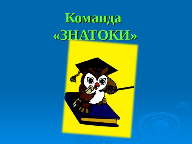 Команда  «ЗНАТОКИ» 