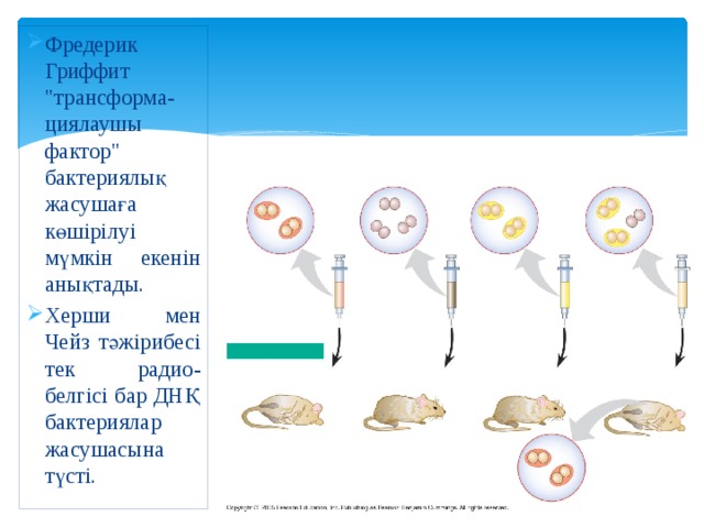 Фредерик Гриффит 