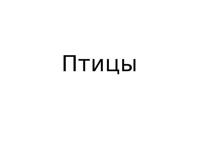 Птицы 