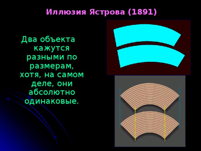 Иллюзия Ястрова (1891) Два объекта кажутся разными по размерам,  хотя, на самом деле, они абсолютно одинаковые. 