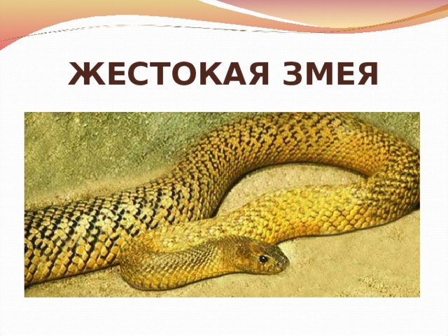 ЖЕСТОКАЯ ЗМЕЯ 