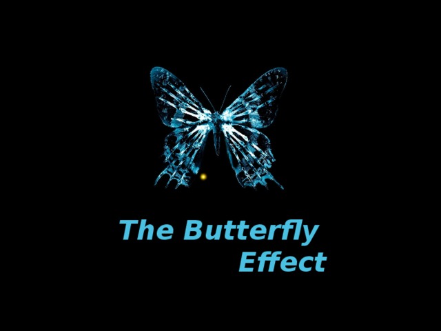 The Butterfly  Effect 