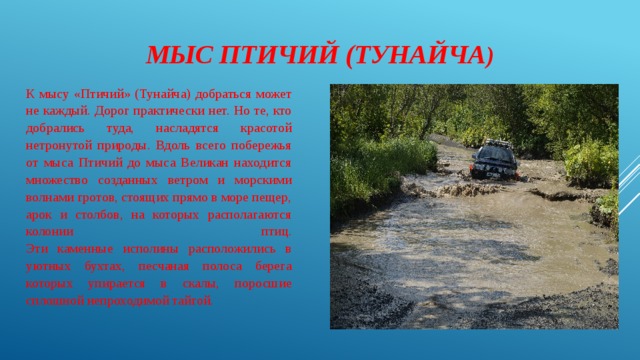 Мыс Птичий (Тунайча ) К мысу «Птичий» (Тунайча) добраться может не каждый. Дорог практически нет. Но те, кто добрались туда, насладятся красотой нетронутой природы.  Вдоль всего побережья от мыса Птичий до мыса Великан находится множество созданных ветром и морскими волнами гротов, стоящих прямо в море пещер, арок и столбов, на которых располагаются колонии птиц.  Эти каменные исполины расположились в уютных бухтах, песчаная полоса берега которых упирается в скалы, поросшие сплошной непроходимой тайгой. 
