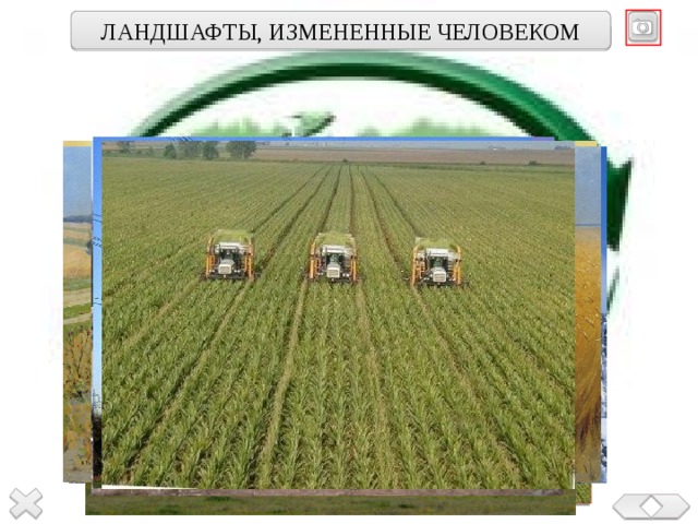 ЛАНДШАФТЫ, ИЗМЕНЕННЫЕ ЧЕЛОВЕКОМ 
