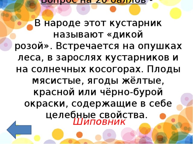 Вопрос на 20 баллов  -   В народе этот кустарник называют «дикой розой». Встречается на опушках леса, в зарослях кустарников и на солнечных косогорах. Плоды мясистые, ягоды жёлтые, красной или чёрно-бурой окраски, содержащие в себе целебные свойства.  Шиповник 
