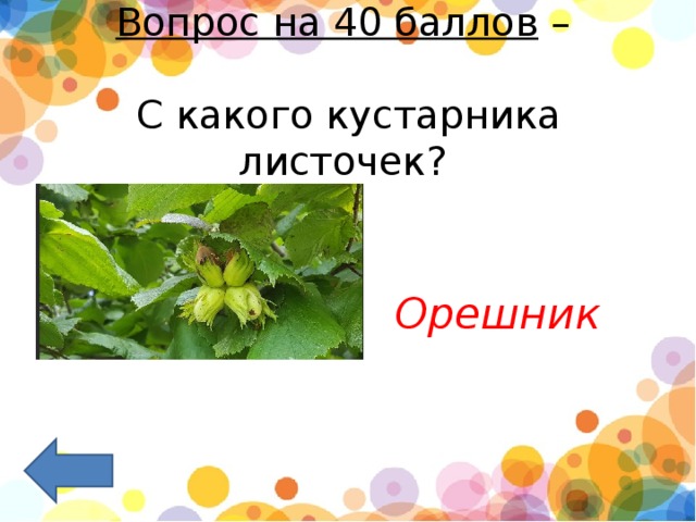 Вопрос на 40 баллов  –   С какого кустарника листочек?   Орешник   
