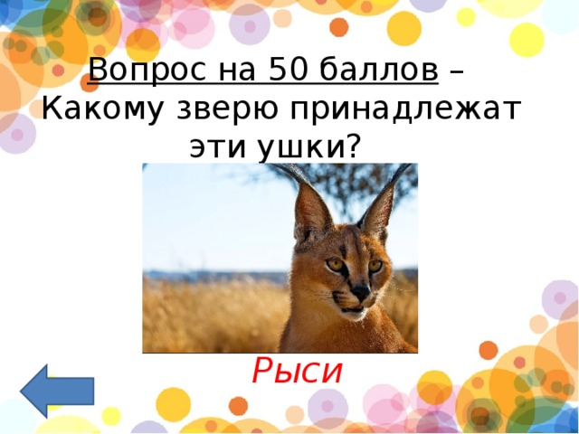 Вопрос на 50 баллов  –  Какому зверю принадлежат эти ушки?    Рыси 