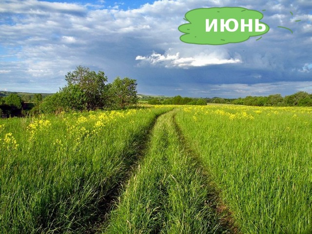 ИЮНЬ Тёплый, длинный-длинный день. В полдень – крохотная тень. Зацветает в поле колос, Подаёт кузнечик голос, Дозревает земляника. Что за месяц, подскажи-ка? 