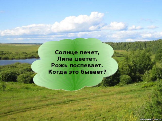 Солнце печет,  Липа цветет,  Рожь поспевает.  Когда это бывает? 