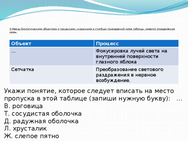    3.Между биологическими объектами и процессами, указанными в столбцах приведённой ниже таблицы, имеется определённая связь.   Объект Процесс … Фокусировка лучей света на внутренней поверхности глазного яблока Сетчатка Преобразование светового раздражения в нервное возбуждение. Укажи понятие, которое следует вписать на место пропуска в этой таблице (запиши нужную букву): … В. роговица Т. сосудистая оболочка Д. радужная оболочка Л. хрусталик Ж. слепое пятно 