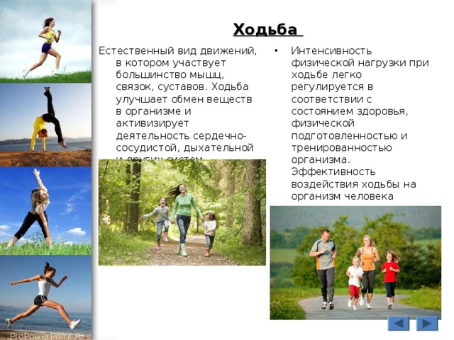 Ходьба Естественный вид движений, в котором участвует большинство мышц, связок, суставов. Ходьба улучшает обмен веществ в организме и активизирует деятельность сердечно-сосудистой, дыхательной и других систем организма. . Интенсивность физической нагрузки при ходьбе легко регулируется в соответствии с состоянием здоровья, физической подготовленностью и тренированностью организма. Эффективность воздействия ходьбы на организм человека зависит от длины шага, скорости ходьбы и ее продолжительности. Перед тренировкой необходимо сделать короткую разминку 