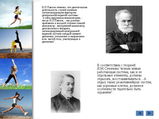  И.П.Павлов отмечал, что двигательная деятельность служит важным сигнализирующим фактором центральной нервной системы:  