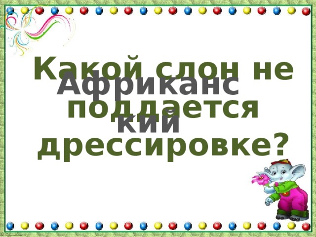 Какой слон не поддается дрессировке? Африканский 