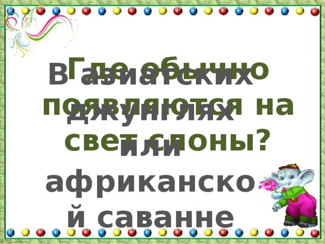 Где обычно появляются на свет слоны? В азиатских джунглях или африканской саванне 