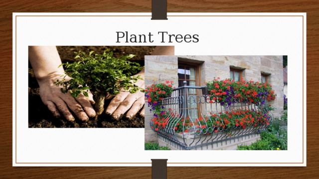 Plant Trees 