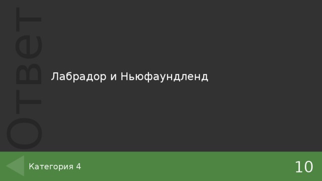 Лабрадор и Ньюфаундленд 10 Категория 4 