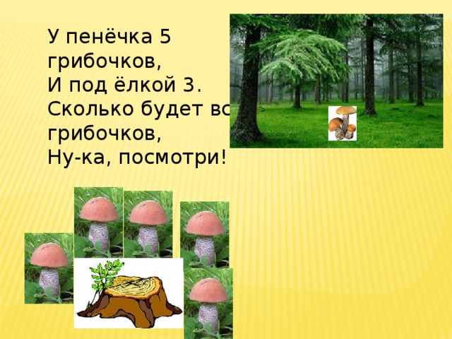 У пенёчка 5 грибочков, И под ёлкой 3. Сколько будет всех грибочков, Ну-ка, посмотри! 