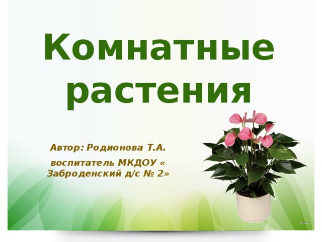 Комнатные растения Автор: Родионова Т.А. воспитатель МКДОУ « Заброденский д/с № 2»  
