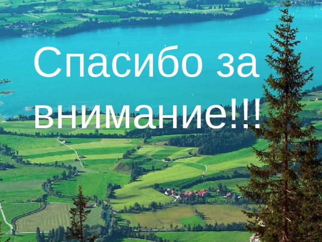 Спасибо за внимание!!! 
