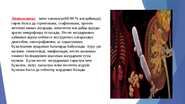 Этиологиясы:  ішек таяқшасы(60-80 % жағдайында), сирек болса да стрептококк, стафилококк, протен жетекші маңыз атқарады, жекелеген жағдайда ауруды аралас микрофлора туғызады. Несеп жолдарының қабынып ауруы көбінесе экссудаттық-қатаралдық диатезбен, гипотрофиямен, ас қорытуының бұзылуымен ауыратын балаларда байқалады. Ауру үш жолмен: гематогенді, лимфагендік, несеп жолының төменгі бөлімдерінен шығатын жолдармен тууы мүмкін. Бұған несеп жолдарының тарылуы мен бұзылуы, иілуі, қысылуы және несептің жүруін бұзатын басқа да себептер жәрдемші болады. 