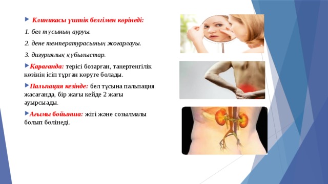 Клиникасы үштік белгімен көрінеді: Клиникасы үштік белгімен көрінеді:  1. бел тұсының ауруы.  2. дене температурасының жоғарлауы.  3. дизуриялық құбылыстар. Қарағанда: терісі бозарған, таңертеңгілік көзінің ісіп тұрған көруге болады. Пальпация кезінде: бел тұсына пальпация жасағанда, бір жағы кейде 2 жағы ауырсыады. Ағымы бойынша: жіті және созылмалы болып бөлінеді. Қарағанда: терісі бозарған, таңертеңгілік көзінің ісіп тұрған көруге болады. Пальпация кезінде: бел тұсына пальпация жасағанда, бір жағы кейде 2 жағы ауырсыады. Ағымы бойынша: жіті және созылмалы болып бөлінеді. 
