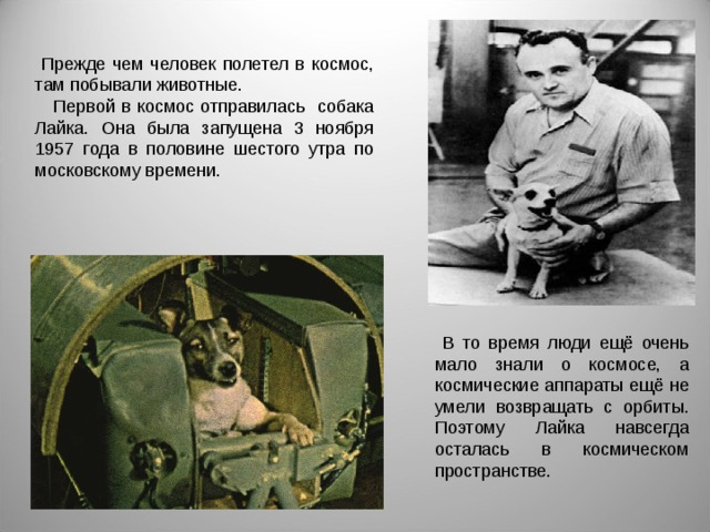  Прежде чем человек полетел в космос, там побывали животные.  Первой в космос отправилась собака Лайка. Она была запущена 3 ноября 1957 года в половине шестого утра по московскому времени.  В то время люди ещё очень мало знали о космосе, а космические аппараты ещё не умели возвращать с орбиты. Поэтому Лайка навсегда осталась в космическом пространстве. 