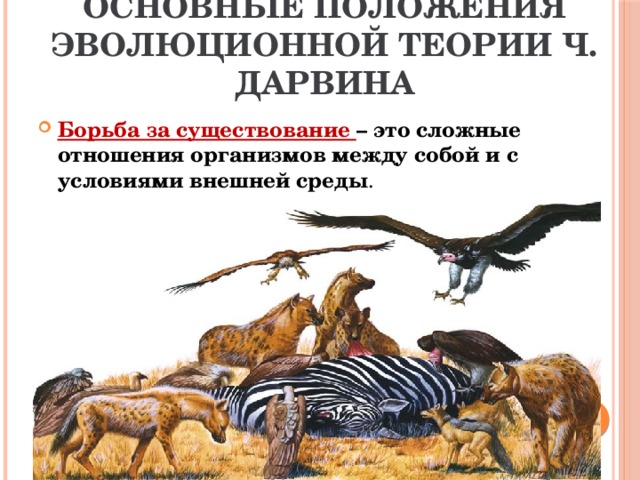 Основные положения эволюционной теории Ч. Дарвина Борьба за существование – это сложные отношения организмов между собой и с условиями внешней среды . 